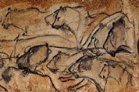 La grotte Chauvet et l'art préhistorique. Le jeudi 20 octobre 2016 à Venelles. Bouches-du-Rhone.  19H00